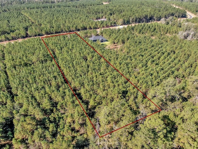 12007 High Branch Way, Willis, TX 77358
