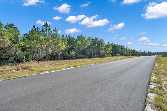 12007 High Branch Way, Willis, TX 77358