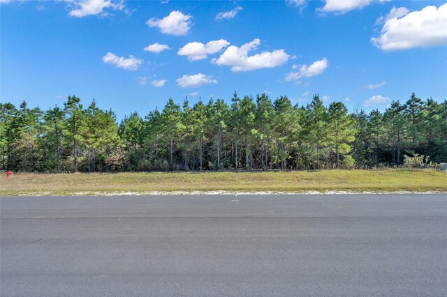 12007 High Branch Way, Willis, TX 77358