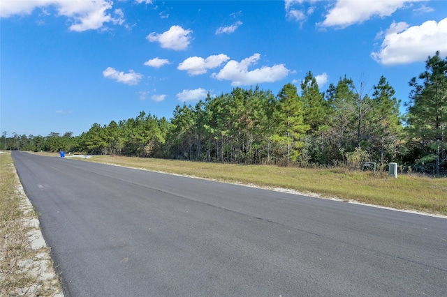 12007 High Branch Way, Willis, TX 77358