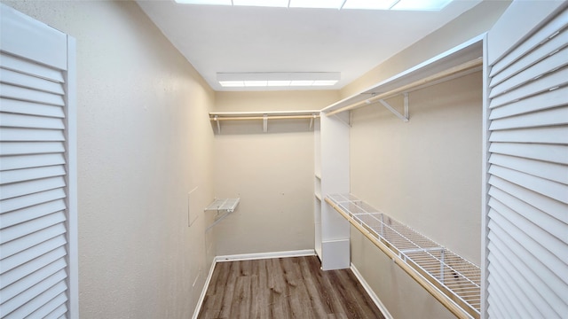 walk in closet featuring wood-type flooring