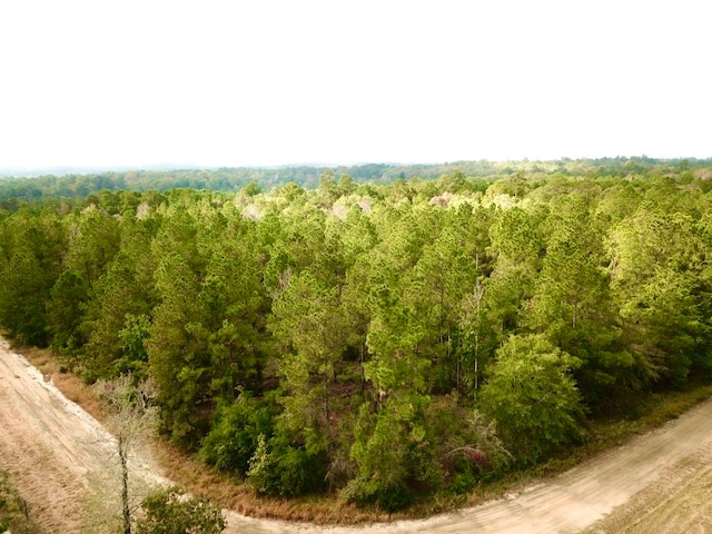 TBD County Road 2310, Woodville TX, 75979 land for sale