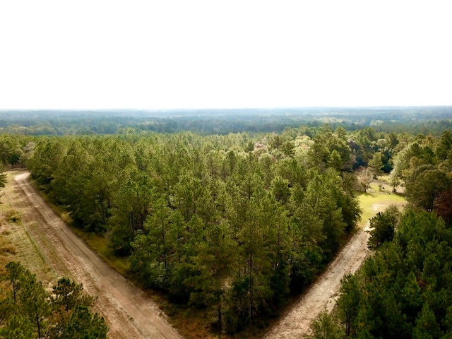 Listing photo 3 for TBD County Road 2310, Woodville TX 75979