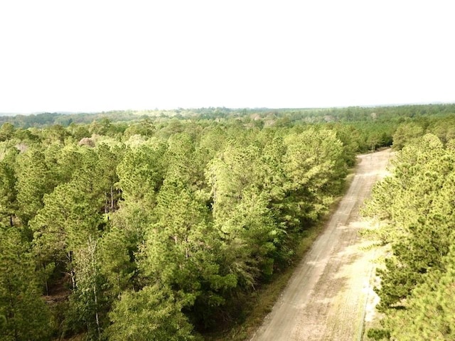 TBD County Road 2310, Woodville, TX 75979 - photo 6