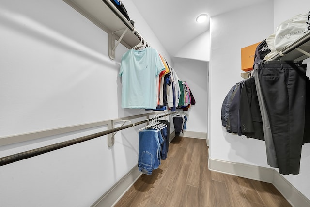 walk in closet with wood-type flooring