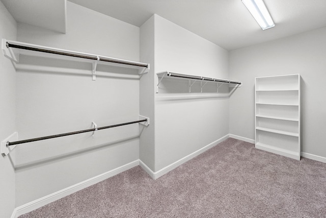 walk in closet featuring light colored carpet