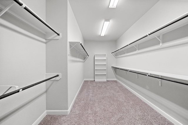 walk in closet featuring light colored carpet