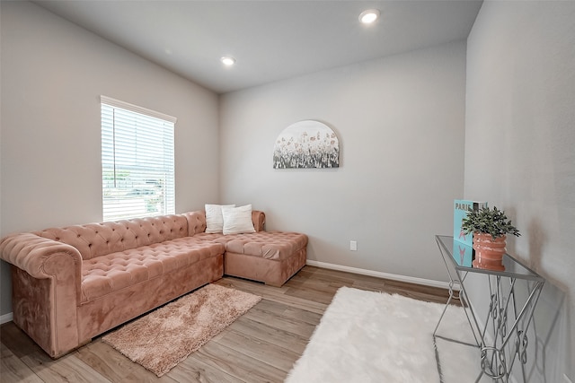 living room featuring light hardwood / wood-style flooring