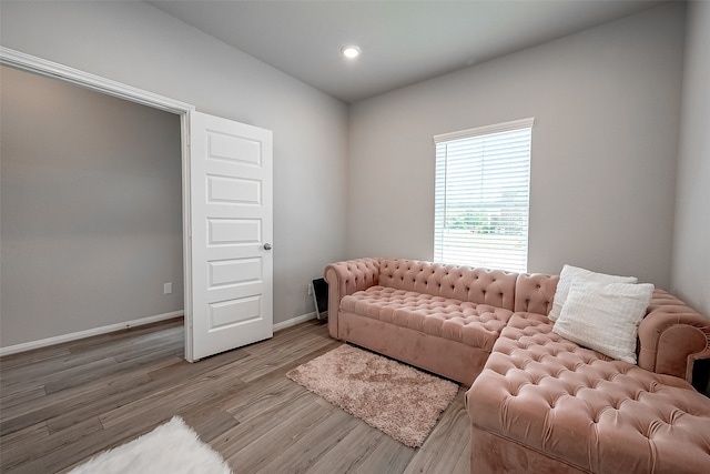 living room with light hardwood / wood-style floors