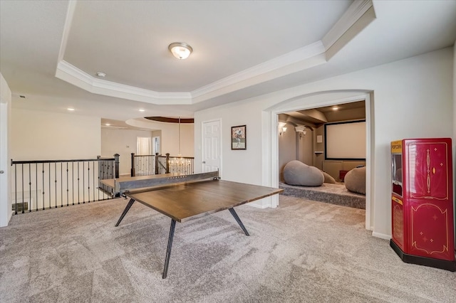 playroom featuring carpet, crown molding, and a tray ceiling