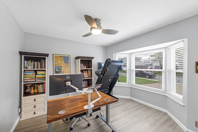 office with a wealth of natural light, a textured ceiling, wood-type flooring, and ceiling fan