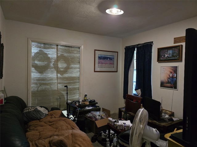 bedroom featuring a textured ceiling