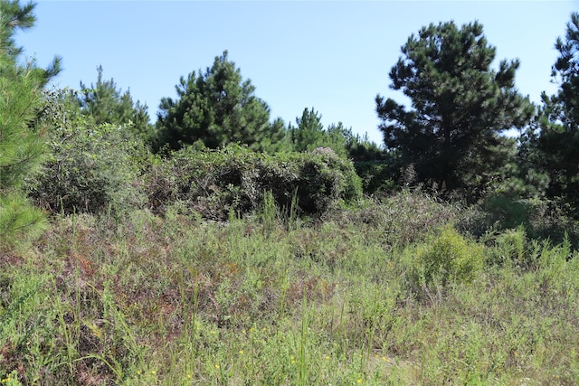 6175 Millstone Dr, Navasota TX, 77868 land for sale