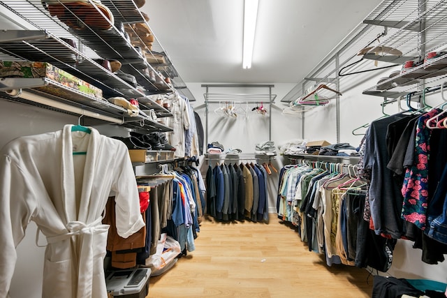 walk in closet featuring hardwood / wood-style flooring