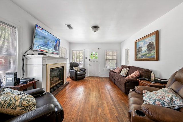 living room with wood-type flooring