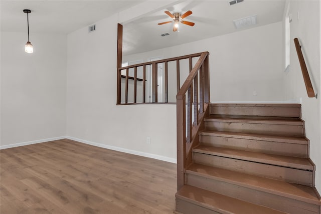 staircase featuring ceiling fan and hardwood / wood-style flooring