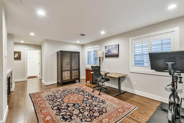 office featuring wood-type flooring