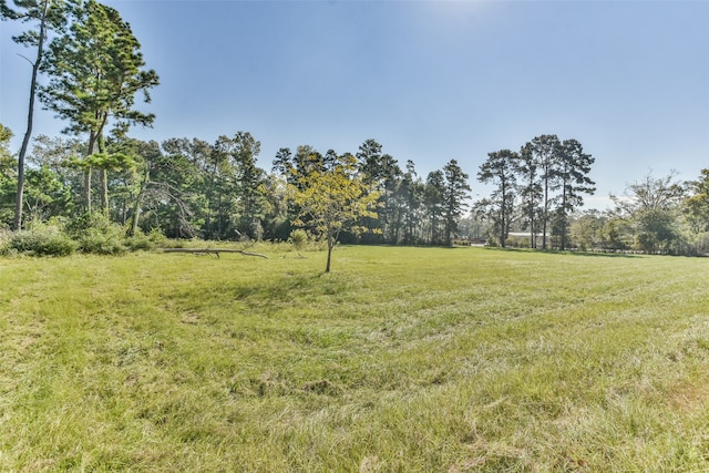 Listing photo 3 for TBD W Fm 2693, New Waverly TX 77358