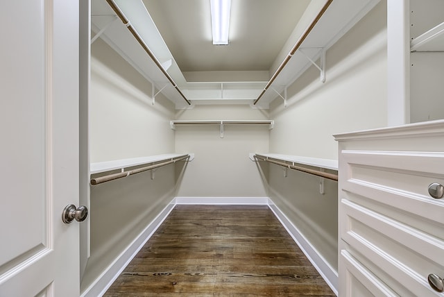 spacious closet with dark hardwood / wood-style flooring