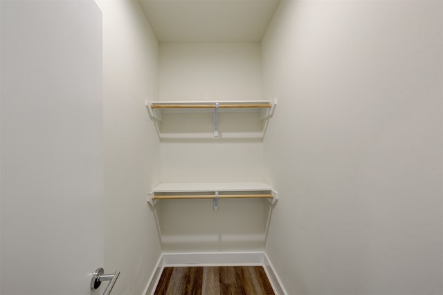 spacious closet featuring wood-type flooring