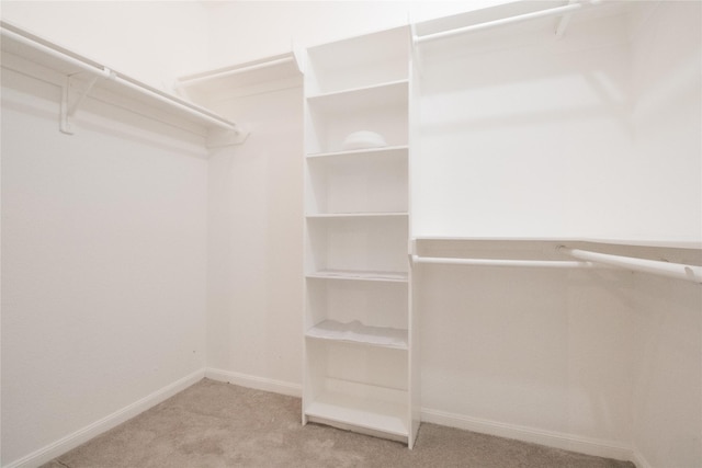 walk in closet featuring carpet floors