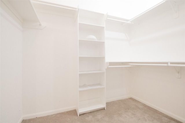 spacious closet with carpet floors