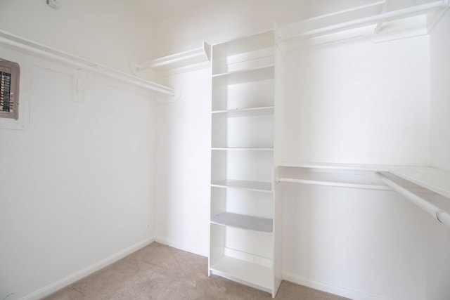 walk in closet with carpet flooring