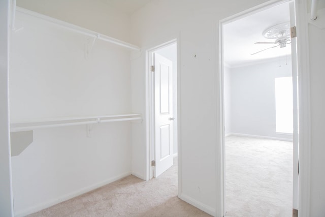 2400 N Braeswood Blvd Unit 314, Houston, TX 77030 - hall with carpet floors and baseboards