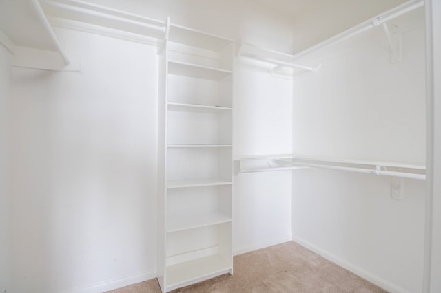 walk in closet with carpet
