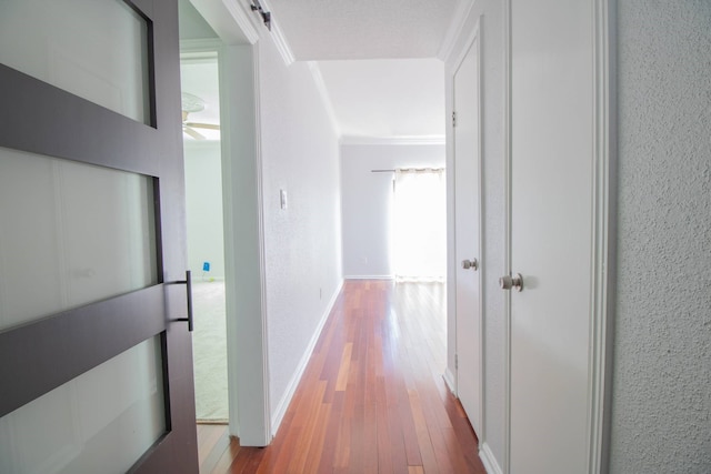 hall featuring baseboards, crown molding, hardwood / wood-style flooring, and a textured wall