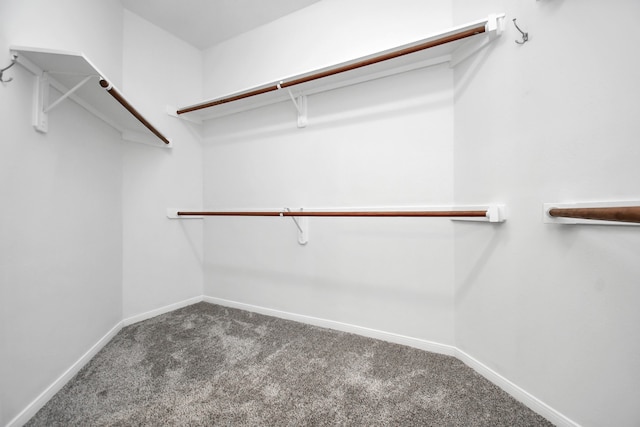 walk in closet featuring carpet