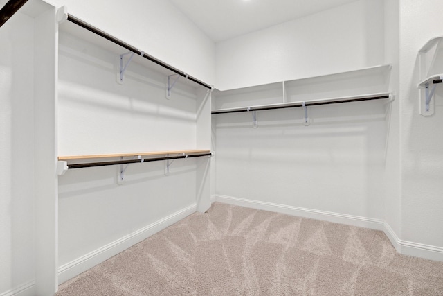 spacious closet featuring carpet