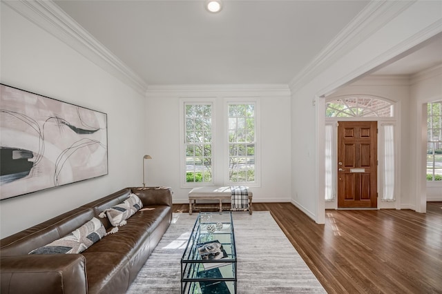 living room with dark wood-type flooring and ornamental molding