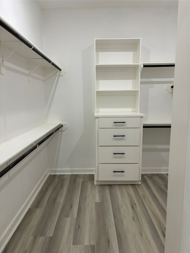 walk in closet with light wood-type flooring