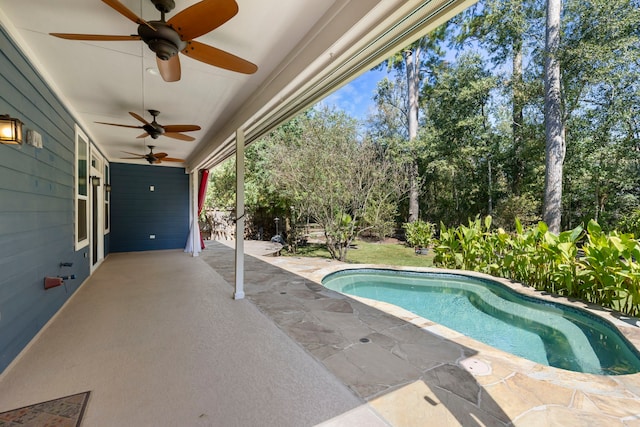 view of pool with a patio