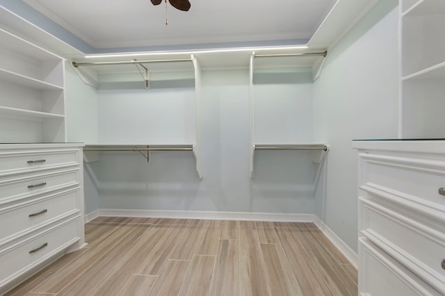 spacious closet with light hardwood / wood-style floors and ceiling fan