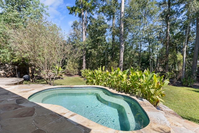 view of swimming pool with a yard and a patio