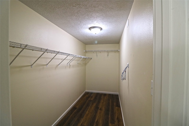 spacious closet with dark hardwood / wood-style floors