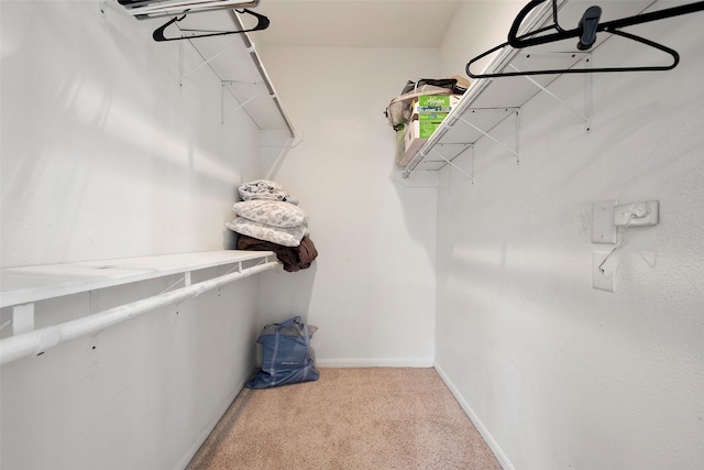 2255 Braeswood Park Dr Unit 184, Houston, TX 77030 - walk in closet featuring carpet flooring