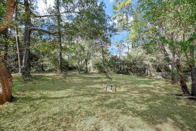 30626 Logger Ln, Magnolia, TX 77355 - view of yard