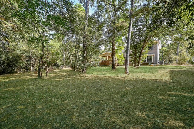 30626 Logger Ln, Magnolia, TX 77355 - view of green lawn