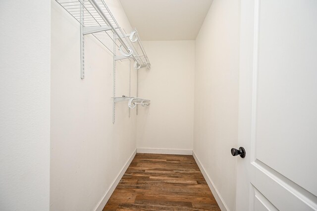 30626 Logger Ln, Magnolia, TX 77355 - spacious closet with dark wood-style floors