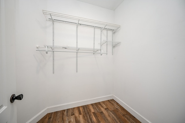 walk in closet with dark wood-type flooring