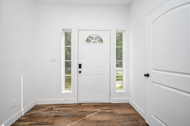 30626 Logger Ln, Magnolia, TX 77355 - foyer with plenty of natural light, dark wood-style flooring, and baseboards