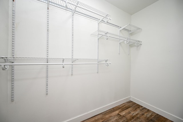 30626 Logger Ln, Magnolia, TX 77355 - walk in closet with wood finished floors