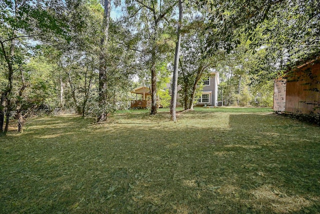 30626 Logger Ln, Magnolia, TX 77355 - view of grassy yard