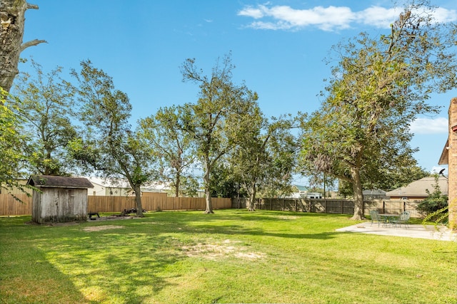 view of yard featuring a storage unit and a patio area