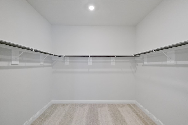 spacious closet featuring carpet