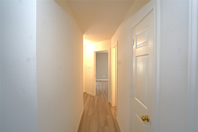 corridor with light wood-type flooring