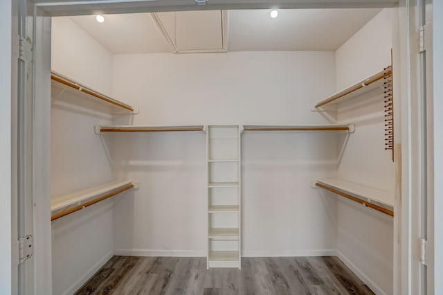 walk in closet featuring light hardwood / wood-style floors